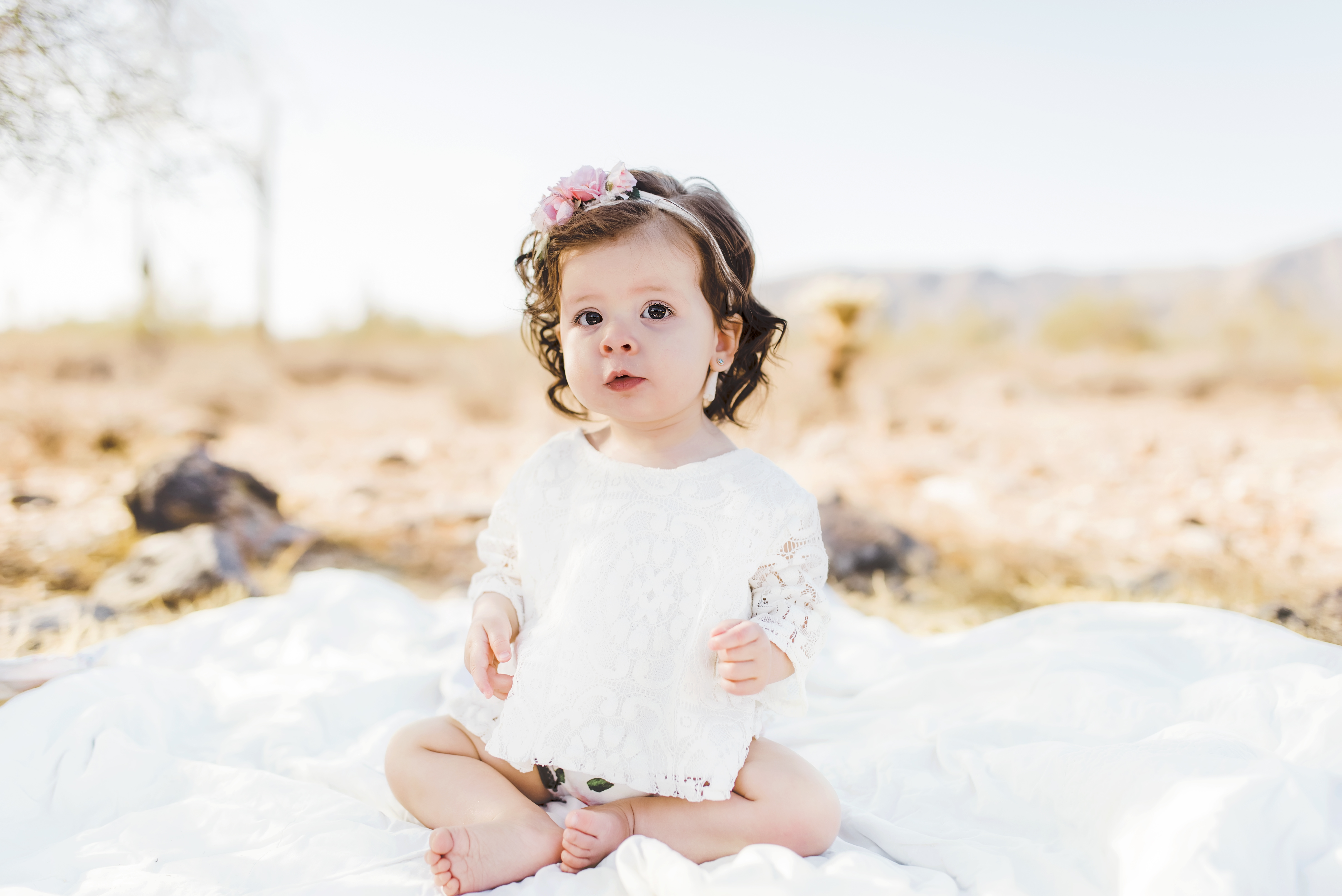 Sitter photo session in Waddell, Arizona