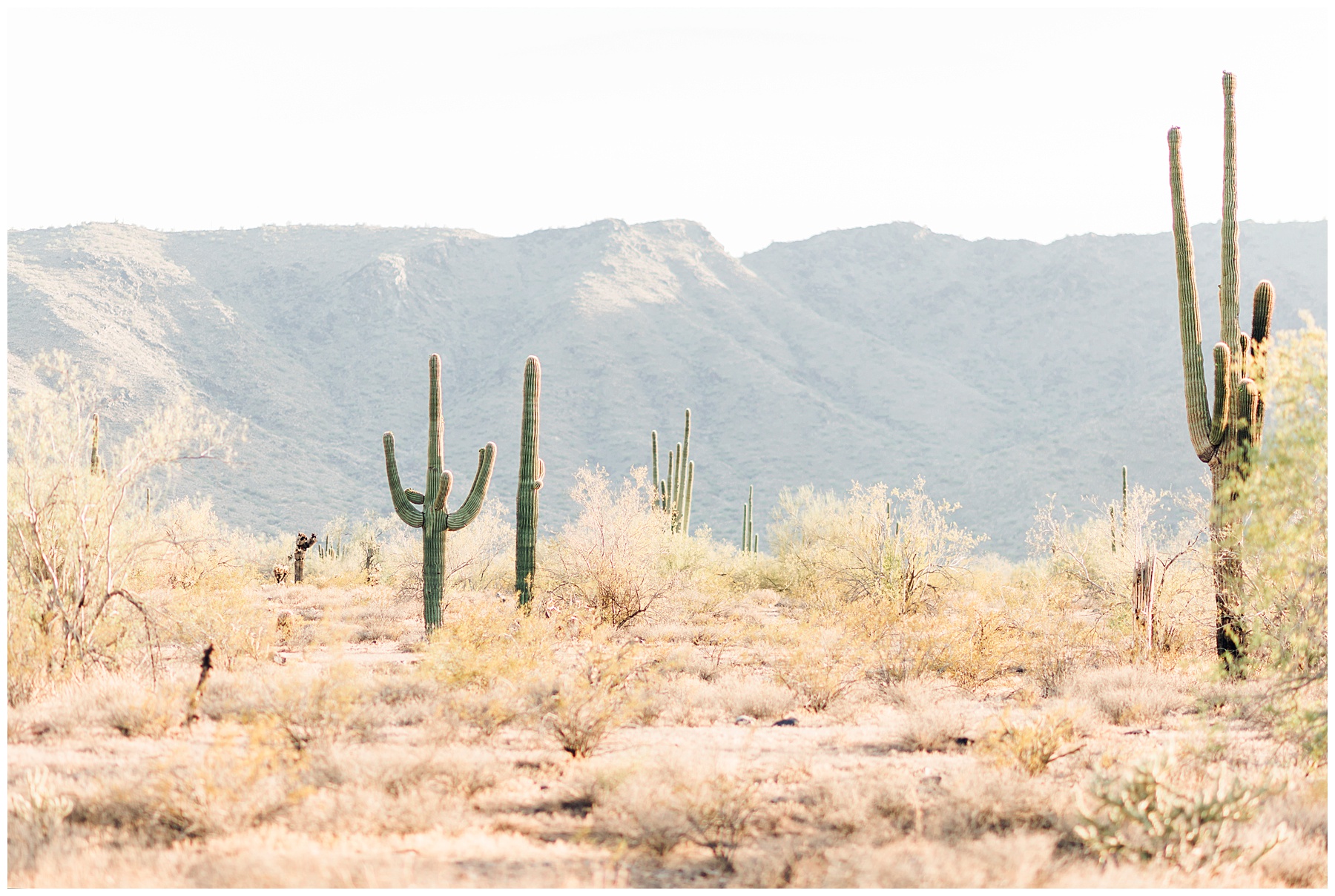 Kaitlyn's-Senior-Photos-White-Tank-Mountains-Arizona-Ashley-Flug-Photography10.jpg