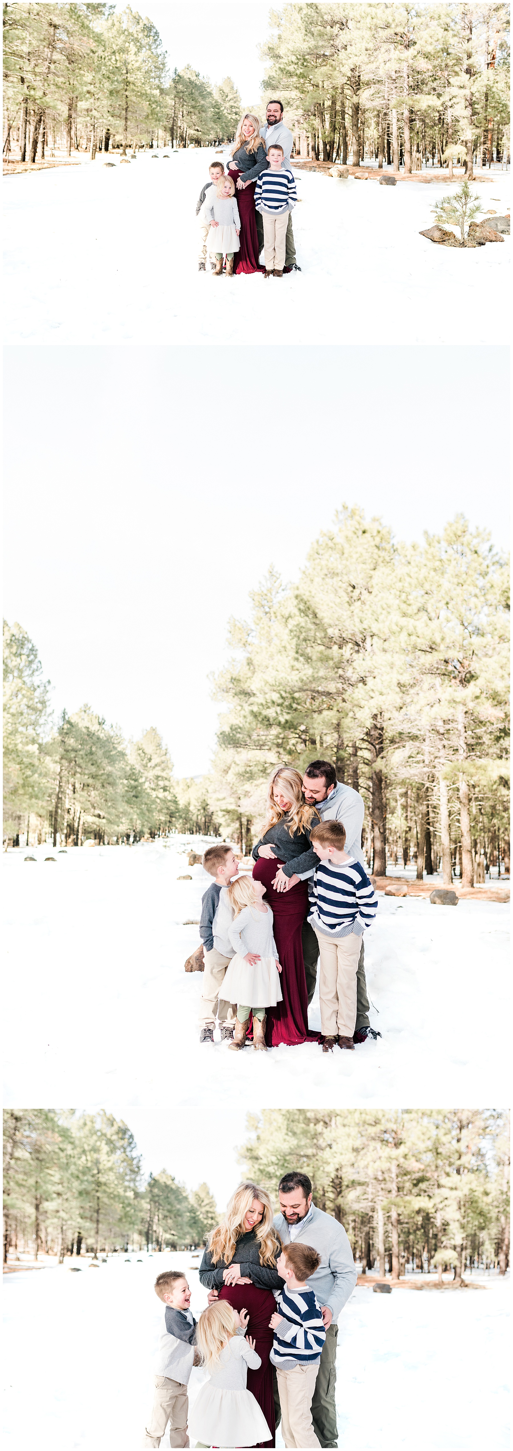 Delaney's-Maternity-Family-Session-Flagstaff-Arizona-Ashley-Flug-Photography01.jpg