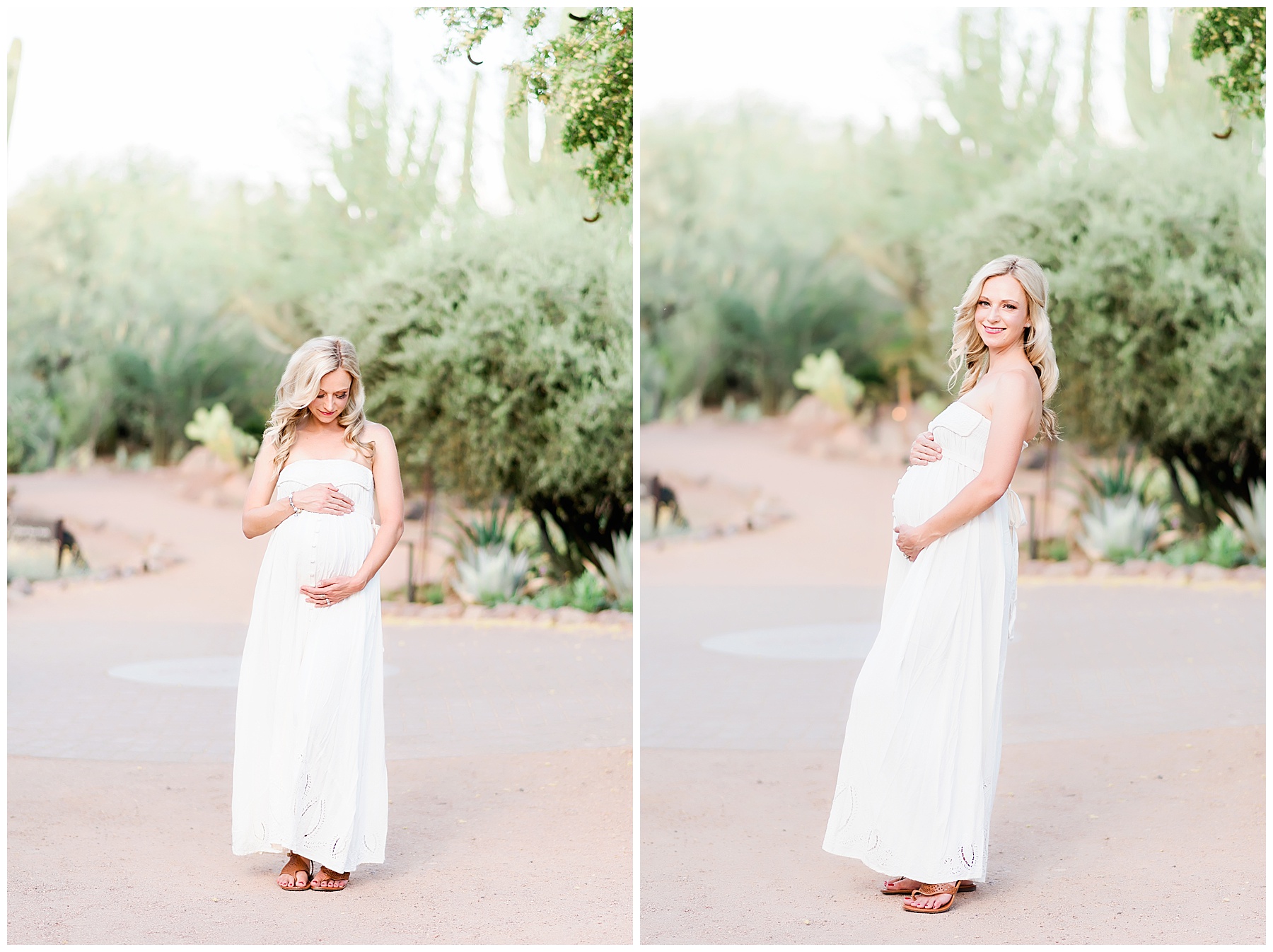 Dorota's-Maternity-Session-Phoenix-Arizona-Ashley-Flug-Photography25.jpg