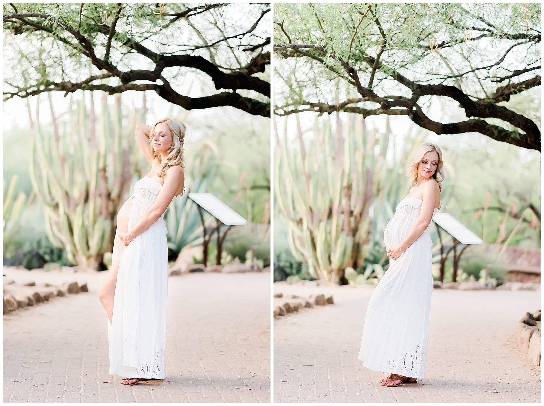 Dorota's-Maternity-Session-Phoenix-Arizona-Ashley-Flug-Photography43.jpg